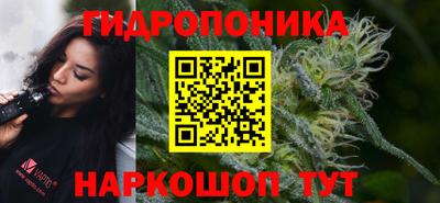 МДПВ Краснознаменск