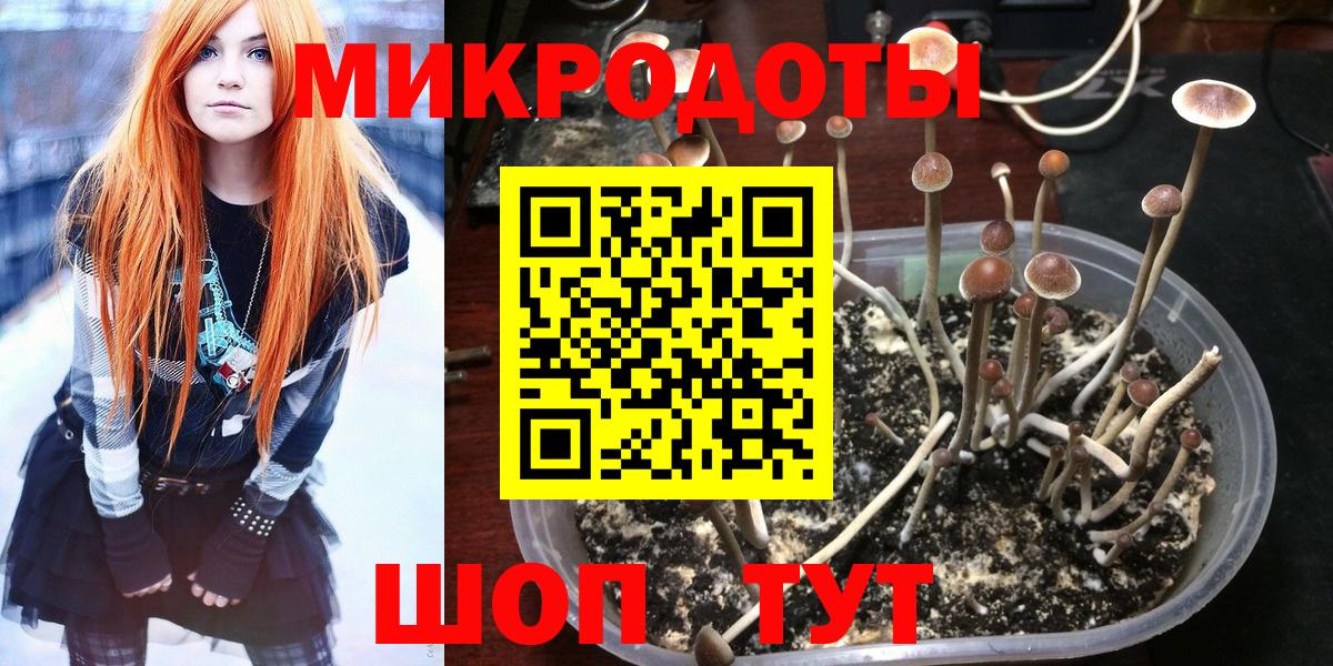 COCAIN  ГАШ  Вход с VPN  МАРИХУАНА  ГАШИШ  Канабис  Елизово  Магазин наркотиков  Мефедрон кристаллы 