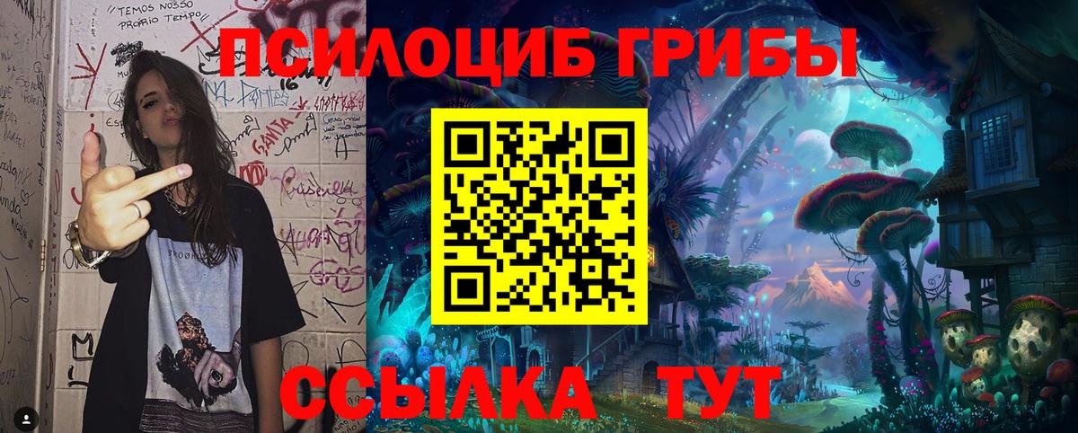 Галлюциногенные грибы мицелий  Вход с VPN  Елизово 